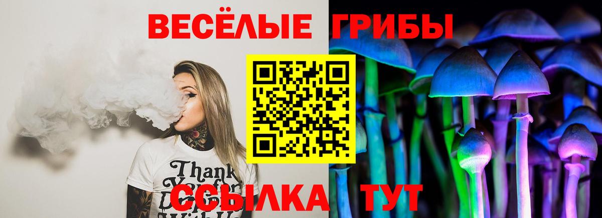 Галлюциногенные грибы прущие грибы  Вход с VPN  Городец 